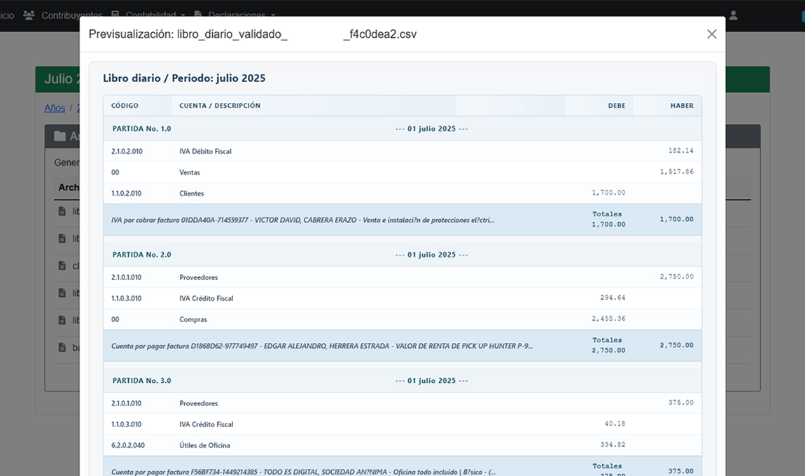 Vista del libro diario contable